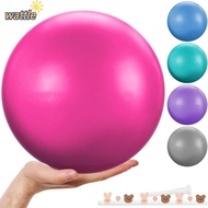 WATTLE Yoga Ball, Indoor PVC Pilates Exercise Gym Ball, Fitness Anti Burst Balance &amp; Stability Exercise Balls