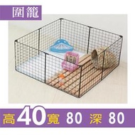 圍籠 高40 寬80 深80 狗籠 兔籠 天竺鼠 三線鼠 不含裡面擺設 狗窩 飼料 玩具 非白鐵 鐵網片