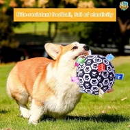 DOG TOY BALL - BALL TOY FOR ANIMALS