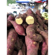 Sweet Potato(Grade B/C)/ Japanese sweet potatoes/ Ubi Manis/ Keledek Manis