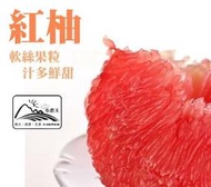 【小農夫國產豆類】麻豆正宗老欉紅文旦 / 紅柚 / 10斤 / 20斤