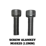 SCREW ALANKEY M10X25 (1.2MM)