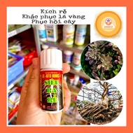 SUPER ROOTING AE.NITO HUMIC-1 – Product to support root growth & plant care