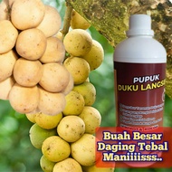 Pupuk Duku Langsap Kokosan 1Ltr Organik Pelebat Buah Besar Manis Daging Tebal
