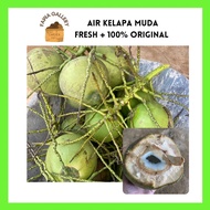 🔥HOT ITEM🔥 AIR KELAPA MUDA PANDAN 1 BIJI