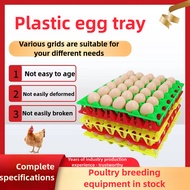 Bekas Telur Ayam 30 Biji/Egg Tray/ Plastic Egg/Egg Storage/Stackable Durable Reusable Egg Storage