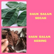 Fresh and Dried Bay Leaves Per Sheet