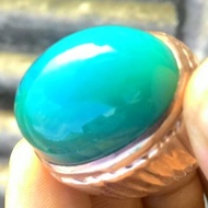 bacan palamea waringin lawas natural GARANSI BACAN ASLI N170