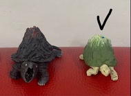 二手 // 山峰烏龜 鷲羽岳星龜（綠）扭蛋 TAKARATOMY MOUNTAIN TURTLES