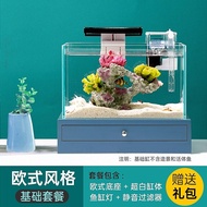 [Ready Stock] NEPALL YMG WOODEN BOX ECOLOGICAL FISH TANK SET Free Filter + Light + Lamp Shade Mini Aquarium