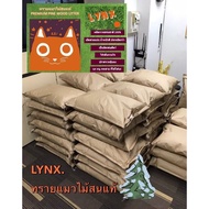 ทรายแมวไม้สนกระสอบ 20kg Pine wood cat litter ส่งเร็ว ราคาดีที่สุด