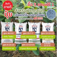 Buy 51 Chemical Fertilizer​ Leaf Nourish Trees​ Cottage​ Flower 46-0-0 15-15-15 25-7-7 8-24-24 16-16