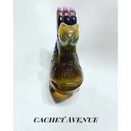 Fluorite Arwana Fish with Nine Tail Fox Display