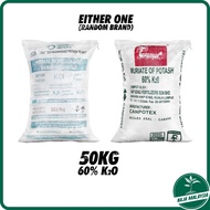 Muriate Of Potash MOP 50kg Potassium Chloride Fertilizer NPK 0-0-60 Baja Tunggal Bunga Buah Baja MOP