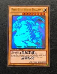 (自然本舖) 遊戲王 遊戲王卡 美英版 美英限定 黃金雷射 GLD5-EN001 青眼白龍 97~98分