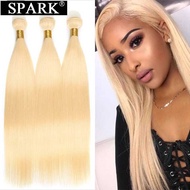 613 Color Brazilian Virgin Hair Straight 假发