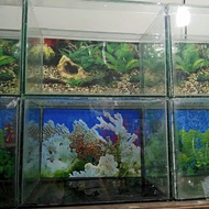 aquarium 30x20x20