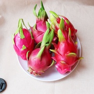 Simulation Dragon Fruit Vegetable High Simulation Fruit Dragon Fruit Fruit Fruit Decoration Teaching