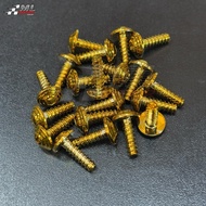SKRU SCREW COVERSET SCREW M5X16 ALLEN KEY SILVER/GOLD/TITANIUM
