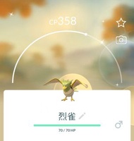 Pokemon GO 烈雀 Spearow 大嘴雀 Fearow 色違 / 異色 / Shiny / 閃光 寶可夢 Pokemon GO
