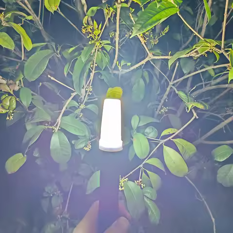 Convoy White Diffuser for S2+ S3 S6 S8 S15 Flashlight