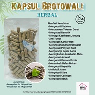 Kapsul Brotowali Herbal isi 100 Kapsul