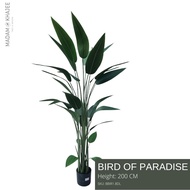 Bird of paradise Height 160 Cm. - ต้นเบิร์ดอ๊อฟพาราไดซ์ ความสูง 180 ซม.ต้นไม้ปลอมเกรดพรีเมี่ยมเพื่อก