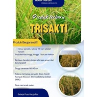Bibit Benih Padi Trisakti Premium Kemasan 5Kg Original