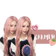 Stella & Carmen H2H 12 DTF Printing Sticker