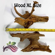 Little Drift Wood Size: XL-1pc for Aquarium Deco by LS Aquatic