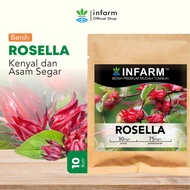 INFARM - Benih Super Bunga Rosella Bibit Benih Tanaman Bunga Rosella Biji Super Bunga Rosella Benih 