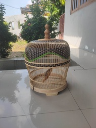 sangkar kutut rotan murah