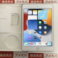 iPad mini 5 256GB 蘋果版