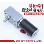 5840-31ZY Dc Snail Wheel Gear Motor 12v