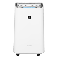 SHARP 夏普 HEPA清淨除濕機  DW-L10FT-W