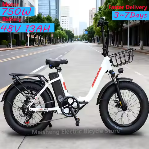 20*4-Inch All-Terrain Tires Ebike BLJ DZ-2030 750W 48V13Ah Lithium Battery Urban Commuting Foldable 