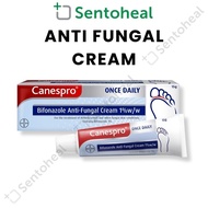 CANESPRO ONCE DAILY ANTI FUNGAL CREAM 15g / Fungal infections / Jock itch / Athletes Foot / Canesten