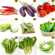 Sale! 9 in 1 Vegetable seeds Sili Labuyo Pechay Mustasa Talong Sitaw Okra Patola Upo Kamatis binhi n