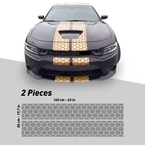 Honey Comb RACING Stripes Dual 10 for Dodge Charger With Trim Package Charger GT SRT Scatpack Hellca