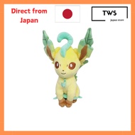 [Direct from Japan]
San-ei Boeki Pokémon ALL STAR COLLECTION Leafeon (S) W12×D10×H20.5cm Plush Toy P