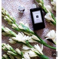 Jo Malone 夜來香白芷 黑瓶 香水 香精