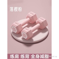 Dumbbell Ladies Fitness Household Equipment Girls Small Dumbbell 2.5kg 3KG2kg Pair Men Barbell Kettl