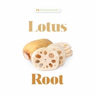 Lotus Root Akar Teratai 500gr 🍥