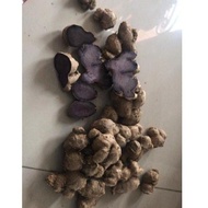 bibit Kunyit Hitam Asli 1 kg