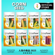 Benih Jagung Corn Seed 玉米种子 CROP POWER SC 9001 SS 232 SS 932 SS 632 SCP 1311 WX 100 WX 200 WX 300 SC