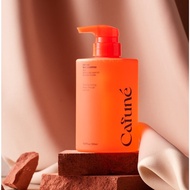 [K-BEAUTY] CAFUNE Bias Scalp Care Shampoo Woody Fragrance 500ml, 2Pack