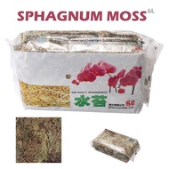6L Sphagnum Moss Fertilizer Phalaenopsis Orchid Moisturizing Nutrition Organic Fertilizer Sphagnum Moss Garden Flowers Supplies