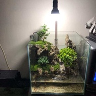 Aquarium paludarium fullset