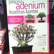 pesona adenium kontes bonsai original