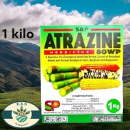 ATRAZINE BY S&P 1 KILO